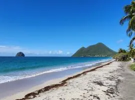 Studio 50m de la plage, vue mer Le Village Du Diamant