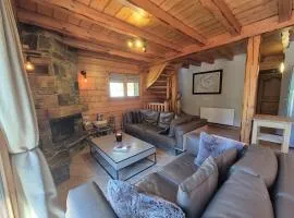 Splendide chalet 12pers, Sainte Foy Station