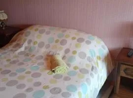 chambre a louer