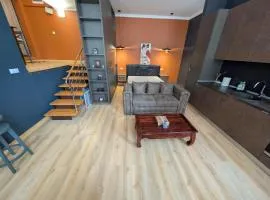 Central apartment