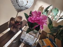 Cazare Clara Cluj, acomoda&ccedil;&atilde;o com cozinha em Cluj-Napoca