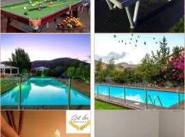 A Fun Holiday In The Galilee