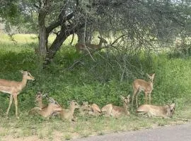 Wildlife Oasis