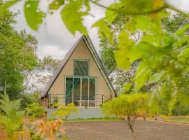 Shenaya Plantation