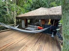 Rainforest Paradise 3