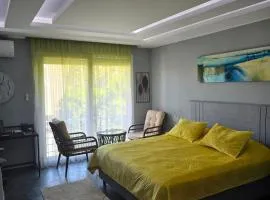 Pretty Modest Apartment