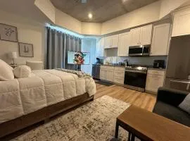 High Rise Downtown Apartment