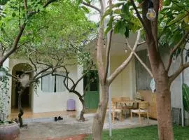 Nấp house