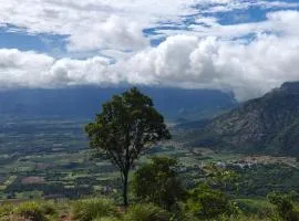 Misty Views Homestay