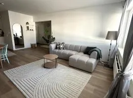 Y - New and gorgeous two-room apartment