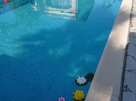 studio piscine en Haute Corse