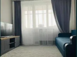 Apartament Central