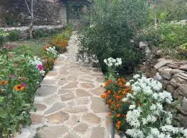 GUEST HOUSE FELAU,Leusë