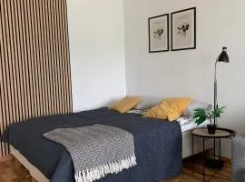 2BR big Apartment A8, free parking on the street