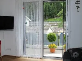 Haus Steiner