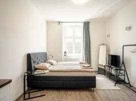 Apartmán Palackého
