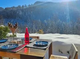 3 apartment with terrace in the village