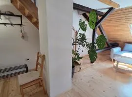 Entire apartment 10 min from train station
