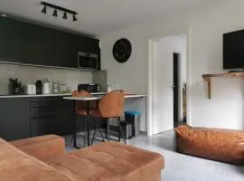 Appartement chaleureux à Haguenau