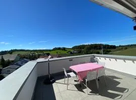 Ferienwohnung Hopfenblick Dachterasse 3SZ Bodenseeregion