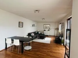 Priestranný apartmán blízko centra