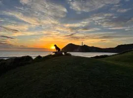 Waiwhare on the Beach - Beach Front Property