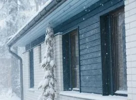 Arctic Secret Home