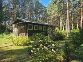 Aloha Summer Cottage, nhà nghỉ dưỡng ở Łaziska
