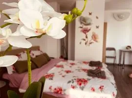 Julia Apartament