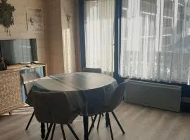 Studio chaleureux, balcon sud, 4 pers., proche centre et pistes - Les Carroz - FR-1-572-218