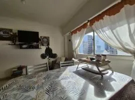 Departamento monoambiente Plaza Mitre