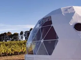 Incredible Dome Getaway on a Vineyard Perfect for Glamping, Tasmania