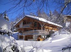 Chalet cosy 12 pers. à 1km des pistes, 5 ch., WiFi, cheminée, abri voiture - FR-1-572-30, hotel in Arâches-la-Frasse