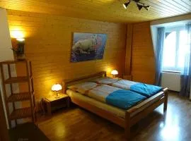 Organic BnB Froschkoenig Rigi Burggeist