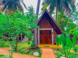 The Banda's Eco Villa