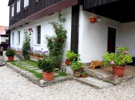 Penzion D'Artagnan, hotel de playa en Kořenov