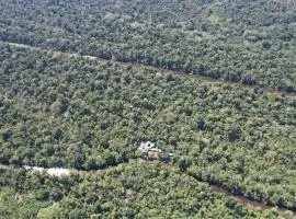 Jacamar Lodge Expeditions