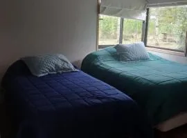 Cabaña en el claro