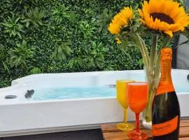 JUNGLE HOT TUB, games room, near eateries, micro brewery, pubs, beauty salons and boutique shops, Argyle, free Netflix, in the heart of Plymouth - Dogs welcome - Hosted by Absolute Accommodation Plymouth