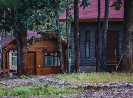 Cabaña Libélula para parejas, hotel di Mascota