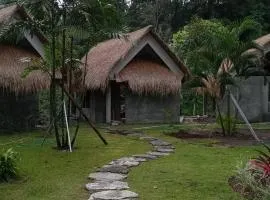 Secret forest waterfall retreat