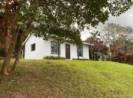 Luxury modern farm cottage with sea view