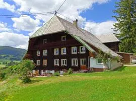 Echtes Schwarzwaldhaus - Traditionell & Modern