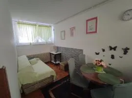 Apartman Karlou