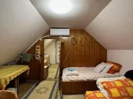 Apartmani Sanja Banja Vrujci
