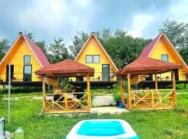 Aromaforest martvili