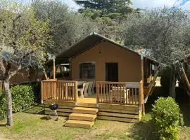 Estivo Safari tents on Camping Cisano San Vito