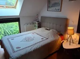 Maison savoyarde