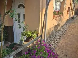 Casa Judit