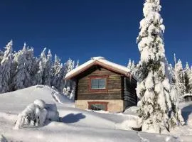 Modern cottage winter house